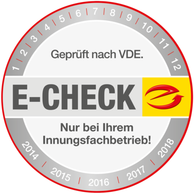 Der E-Check bei Baumann GmbH in Frankenthal